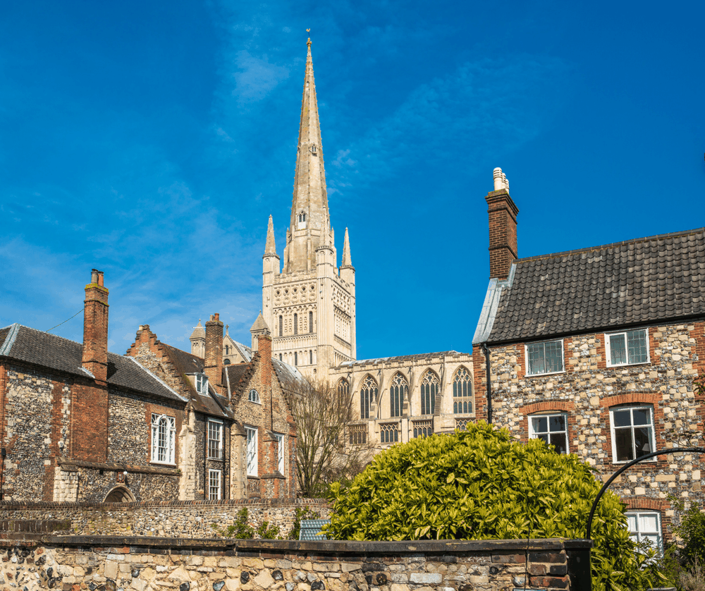 Norwich Tip Opening Times