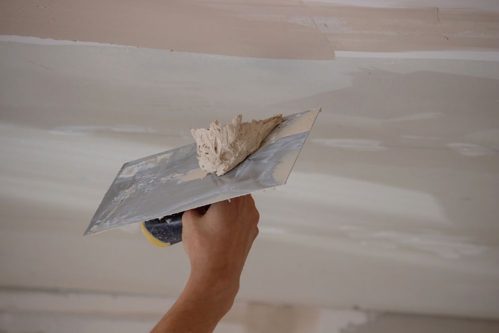 Ceiling Plaster Repairs