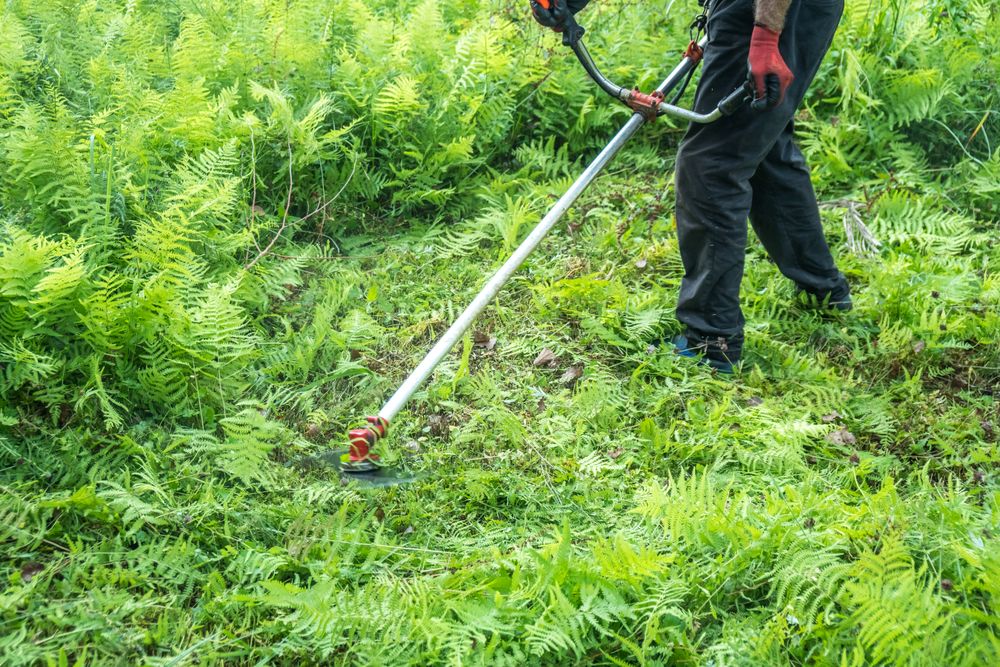 Lawn Strimming Overgrowth Control